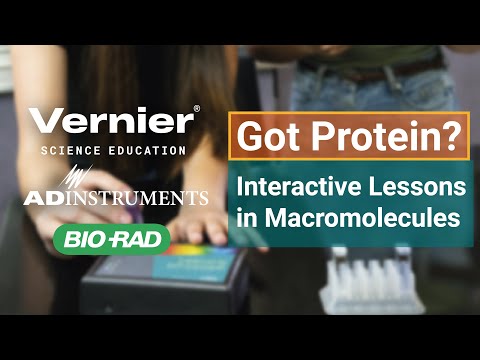 Got Protein? Interactive and Engaging Lessons in Macromolecules for College Biology Students