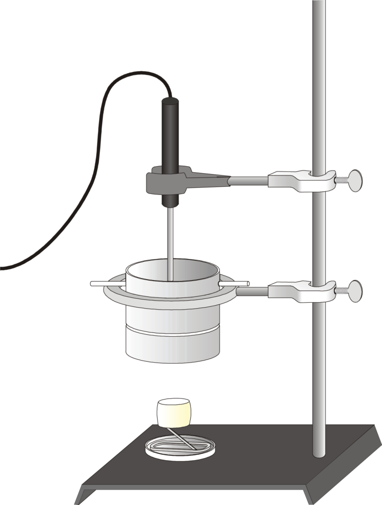 energy in foods experiment