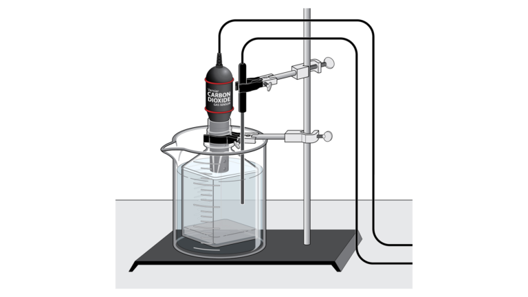 yeast experiment carbon dioxide