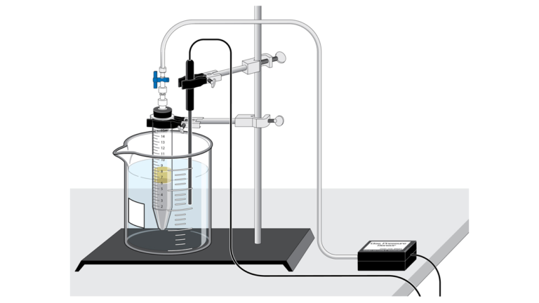 hypothesis for yeast fermentation experiment