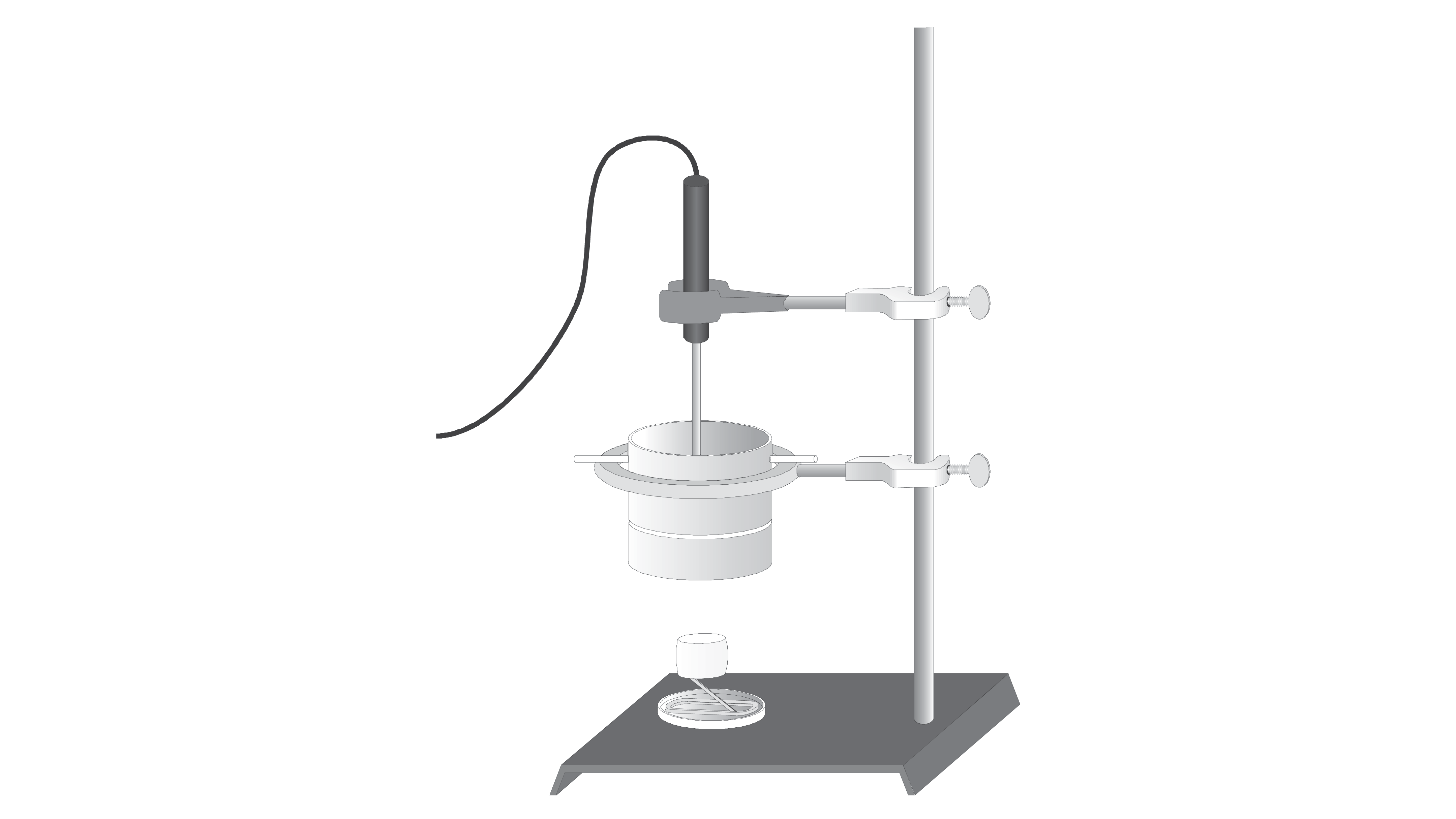 energy content in food experiment results