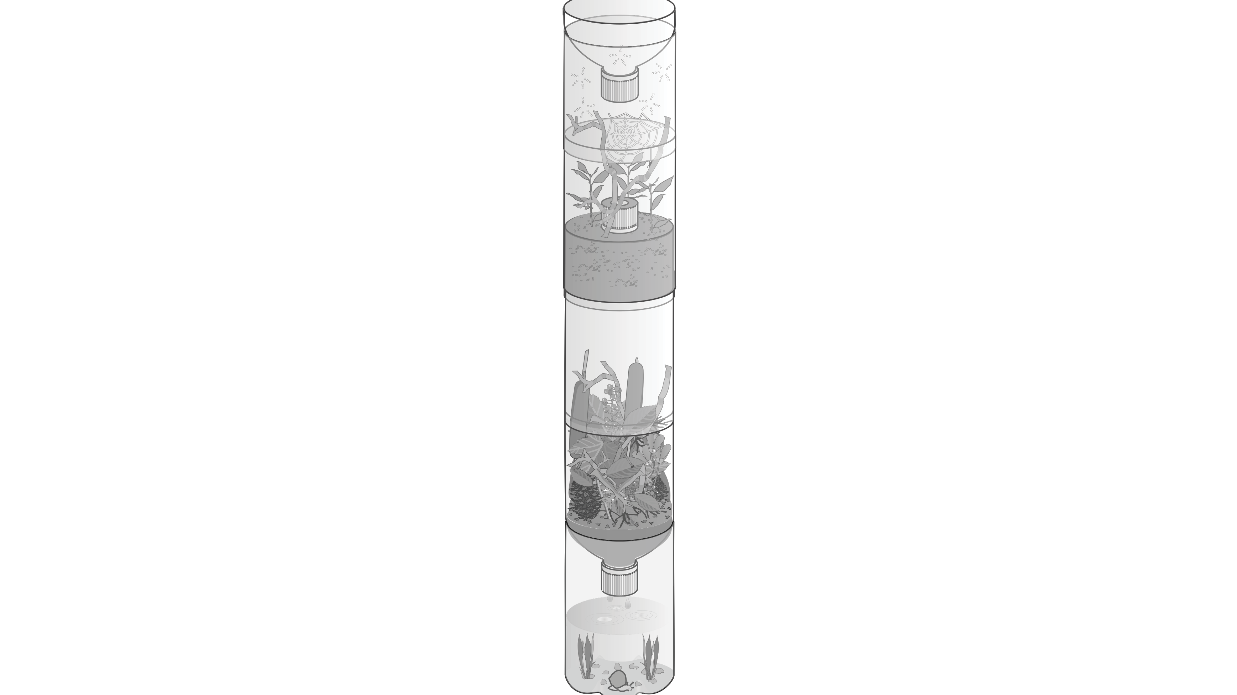 Ecocolumn Investigations - Vernier